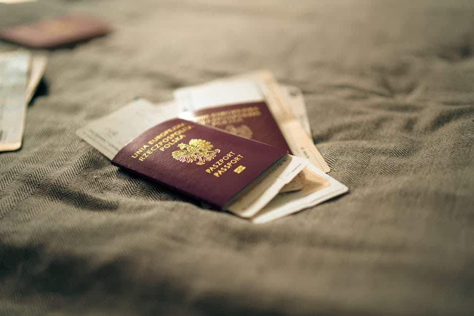 which passport uk arrival - illustration 1