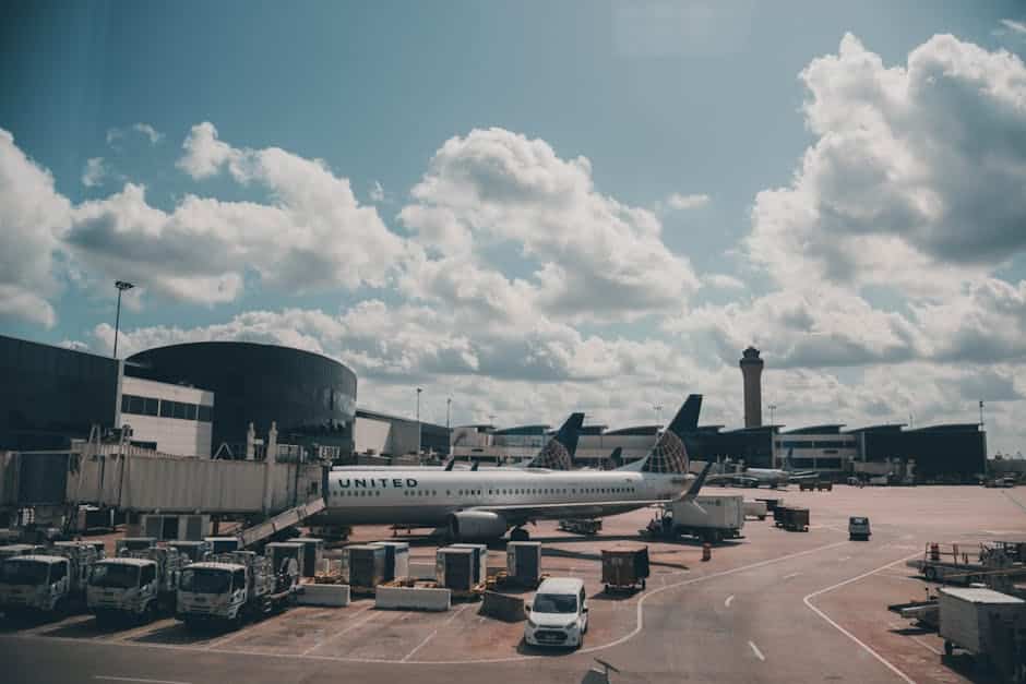 pregnant traveller uk 4