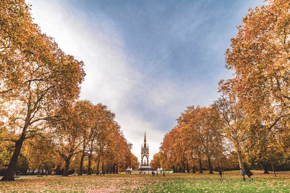 Jesenski pogled na londonski park z zlatimi listi, ljudje, ki sprehajajo pse, in zgodovinski vrtec