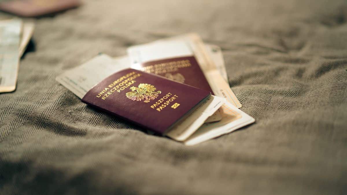 rejected visa denied border 2