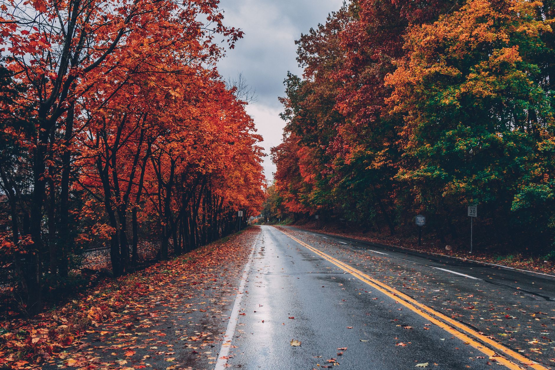 A country lane covered in fallen autumn leaves on a damp UK afternoon
