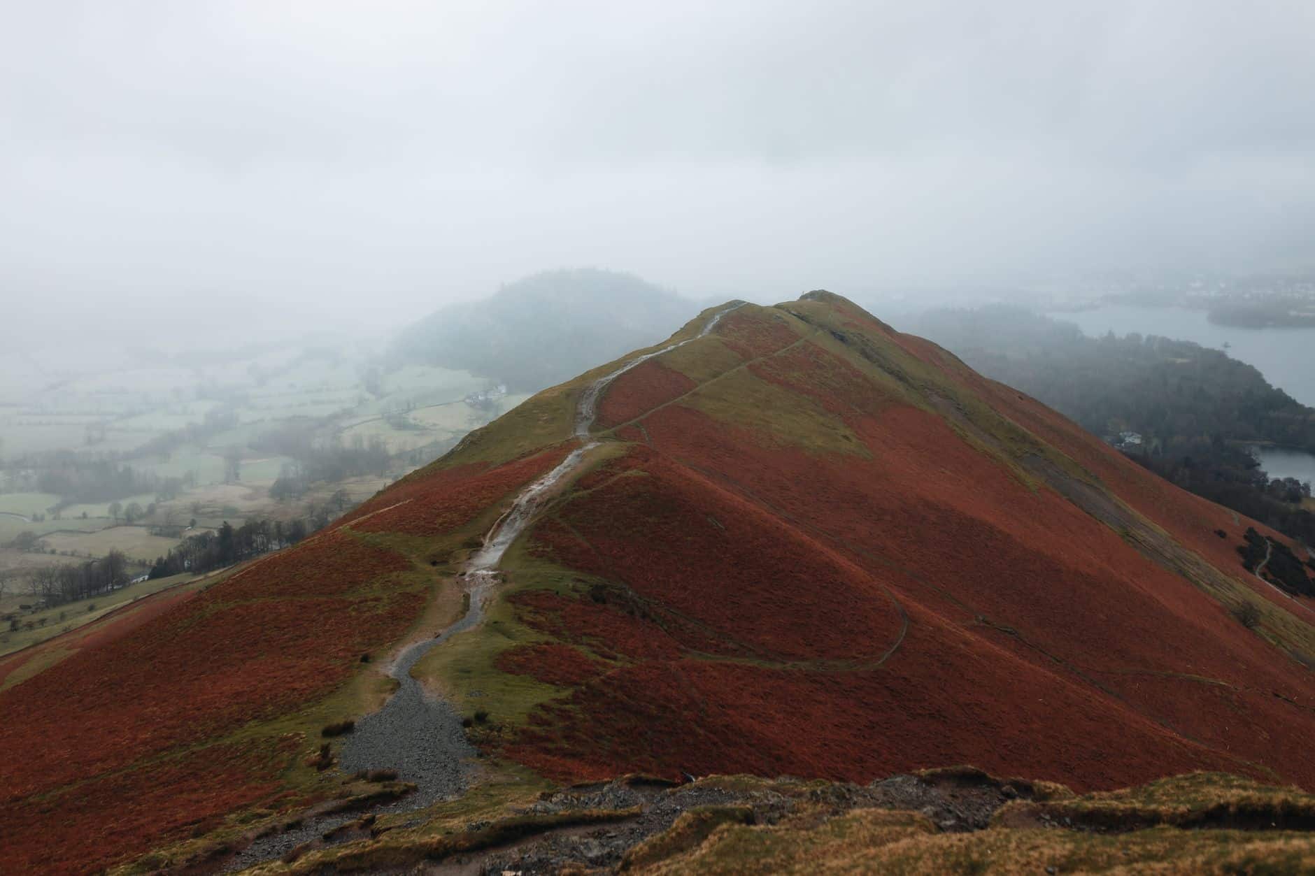 Misty autumn hills reflected in a Lake District lake with golden bracken